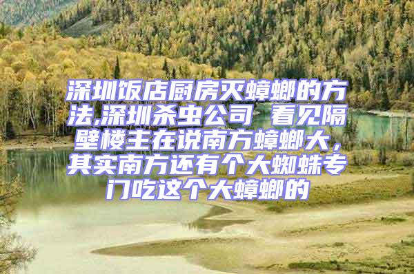 深圳飯店廚房滅蟑螂的方法,深圳殺蟲公司 看見隔壁樓主在說南方蟑螂大，其實南方還有個大蜘蛛專門吃這個大蟑螂的