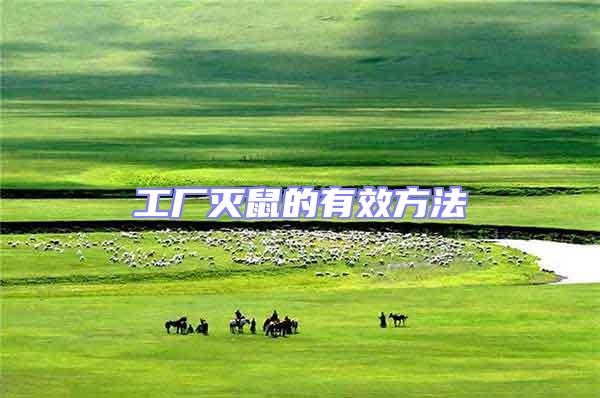 工廠滅鼠的有效方法