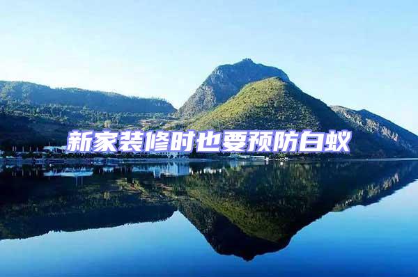 新家裝修時也要預防白蟻