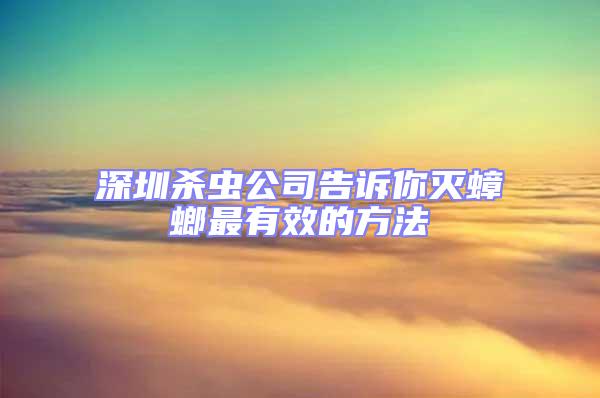 深圳殺蟲公司告訴你滅蟑螂最有效的方法