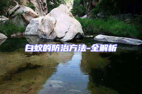 白蟻的防治方法-全解析