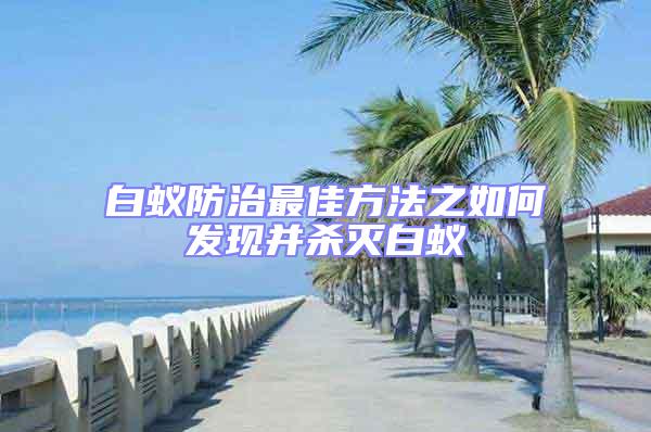 白蟻防治最佳方法之如何發(fā)現(xiàn)并殺滅白蟻