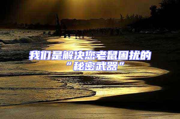 我們是解決您老鼠困擾的“秘密武器”