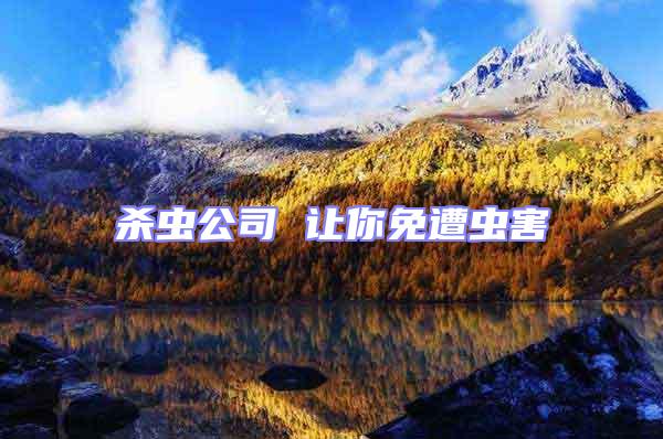 殺蟲公司 讓你免遭蟲害