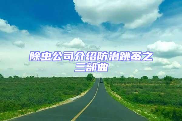 除蟲公司介紹防治跳蚤之三部曲