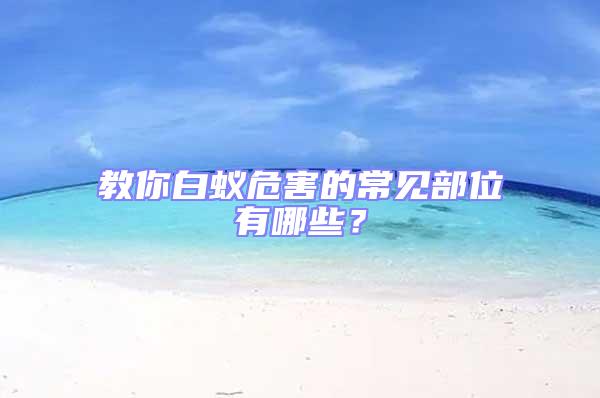 教你白蟻危害的常見部位有哪些？