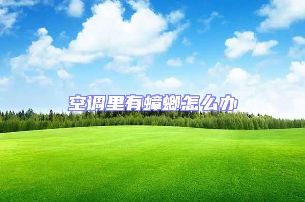 空調(diào)里有蟑螂怎么辦