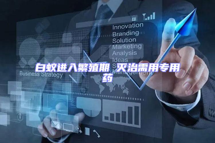 白蟻進入繁殖期 滅治需用專用藥
