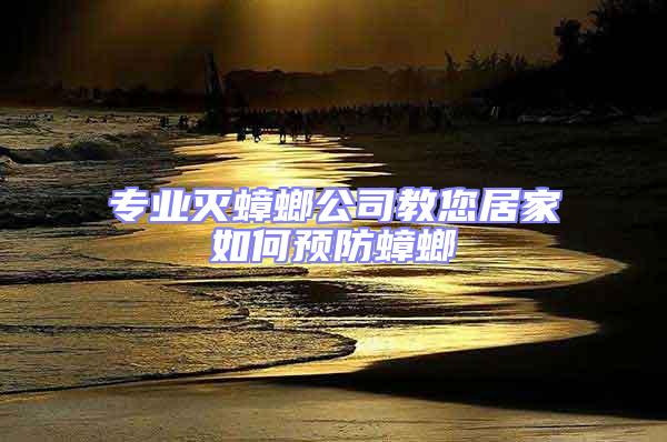 專業滅蟑螂公司教您居家如何預防蟑螂