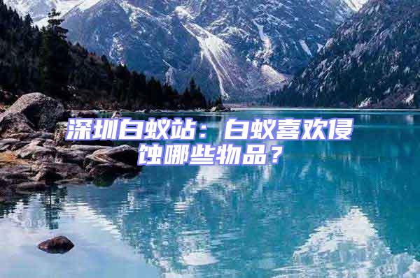深圳白蟻站：白蟻喜歡侵蝕哪些物品？