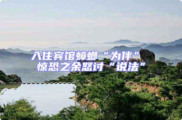 入住賓館蟑螂“為伴” 驚恐之余怒討“說法”