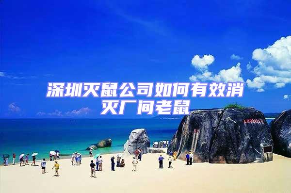 深圳滅鼠公司如何有效消滅廠間老鼠