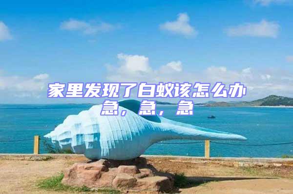 家里發現了白蟻該怎么辦急，急，急