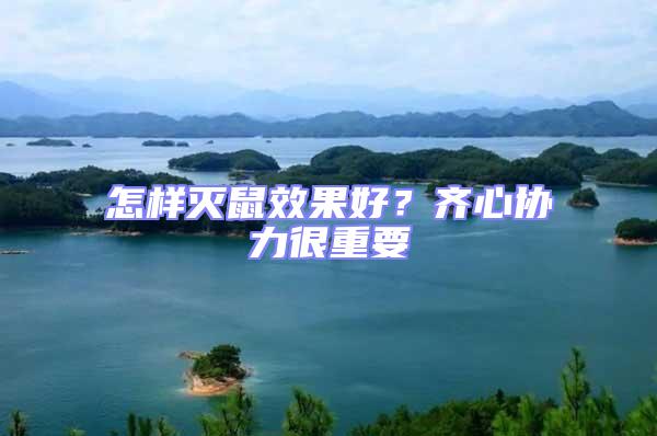 怎樣滅鼠效果好？齊心協力很重要