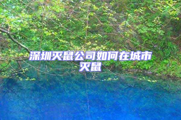 深圳滅鼠公司如何在城市滅鼠