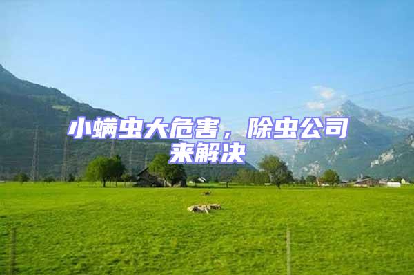 小螨蟲大危害，除蟲公司來解決