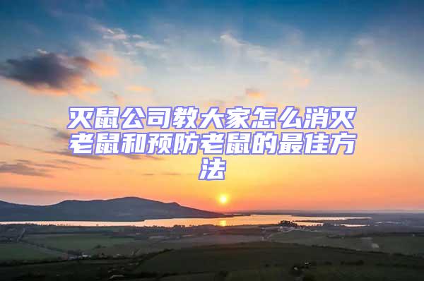 滅鼠公司教大家怎么消滅老鼠和預(yù)防老鼠的最佳方法