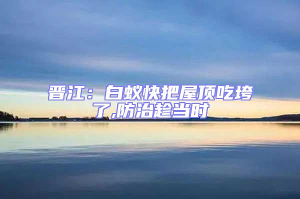 晉江：白蟻快把屋頂吃垮了,防治趁當時