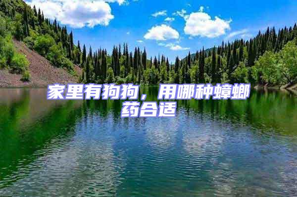 家里有狗狗，用哪種蟑螂藥合適