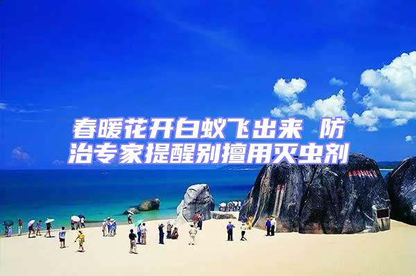春暖花開白蟻飛出來 防治專家提醒別擅用滅蟲劑