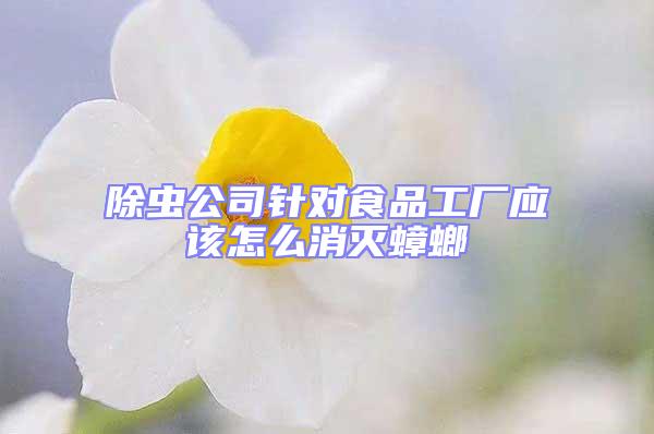 除蟲公司針對食品工廠應該怎么消滅蟑螂