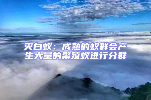 滅白蟻：成熟的蟻群會產生大量的繁殖蟻進行分群