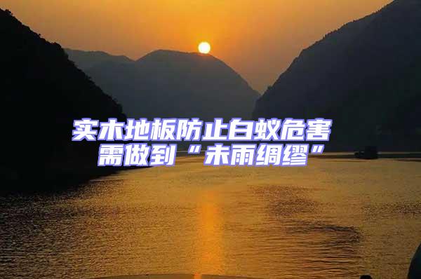 實木地板防止白蟻危害 需做到“未雨綢繆”