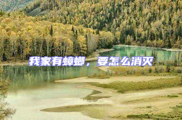 我家有蟑螂，要怎么消滅