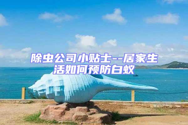 除蟲公司小貼士--居家生活如何預防白蟻