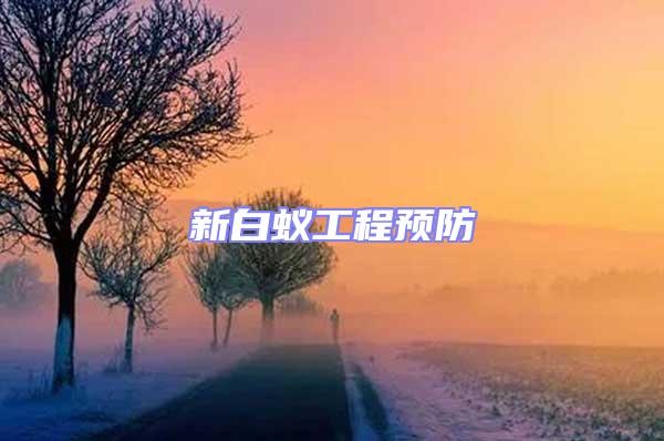 新白蟻工程預(yù)防