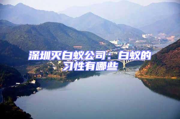 深圳滅白蟻公司：白蟻的習性有哪些