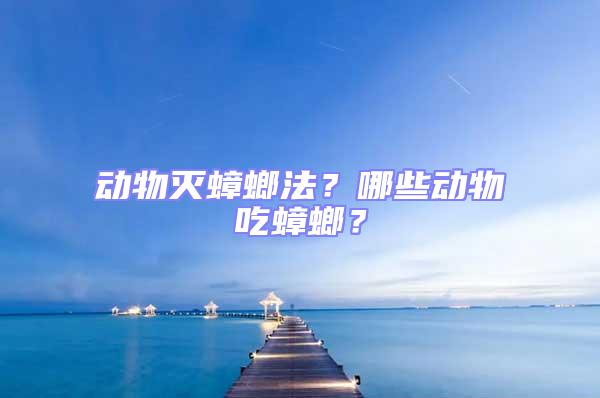 動物滅蟑螂法？哪些動物吃蟑螂？