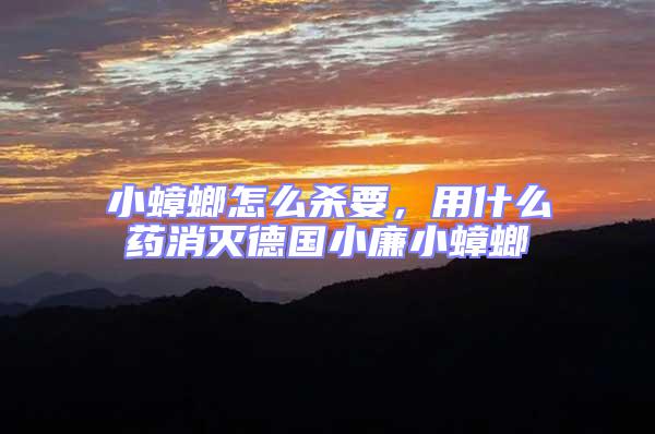 小蟑螂怎么殺要，用什么藥消滅德國小廉小蟑螂