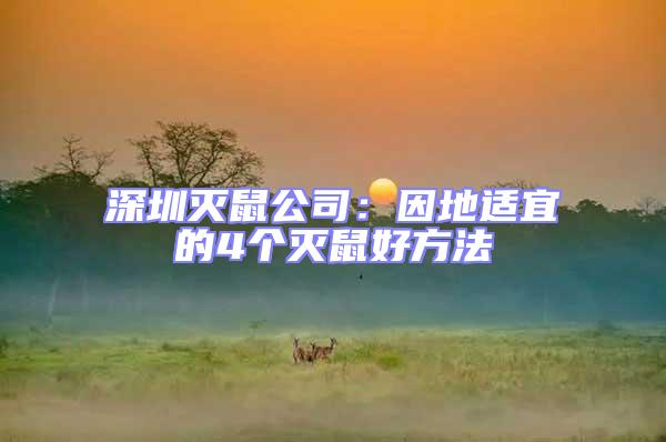 深圳滅鼠公司：因地適宜的4個(gè)滅鼠好方法