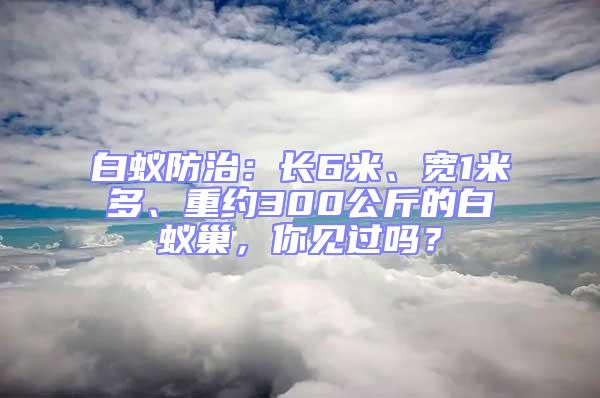 白蟻防治：長6米、寬1米多、重約300公斤的白蟻巢，你見過嗎？