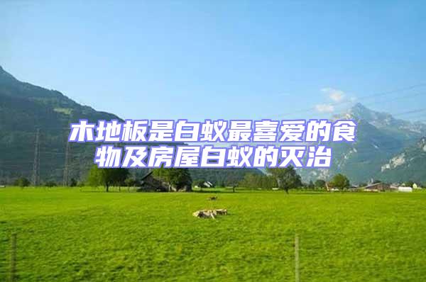 木地板是白蟻最喜愛的食物及房屋白蟻的滅治