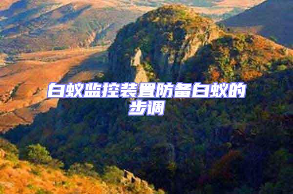 白蟻監(jiān)控裝置防備白蟻的步調(diào)
