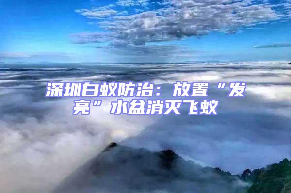 深圳白蟻防治：放置“發(fā)亮”水盆消滅飛蟻