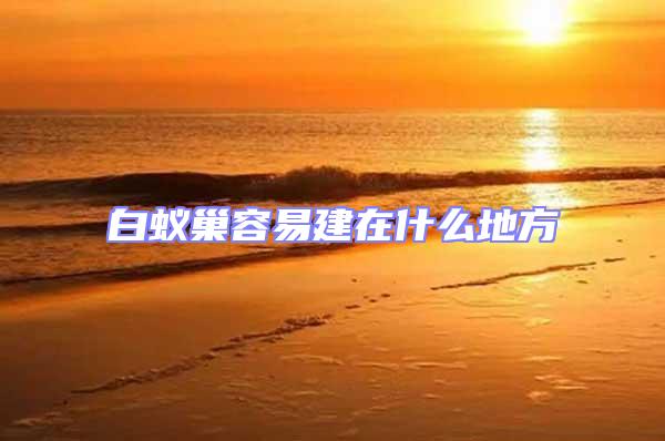 白蟻巢容易建在什么地方