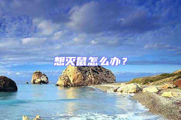 想滅鼠怎么辦？