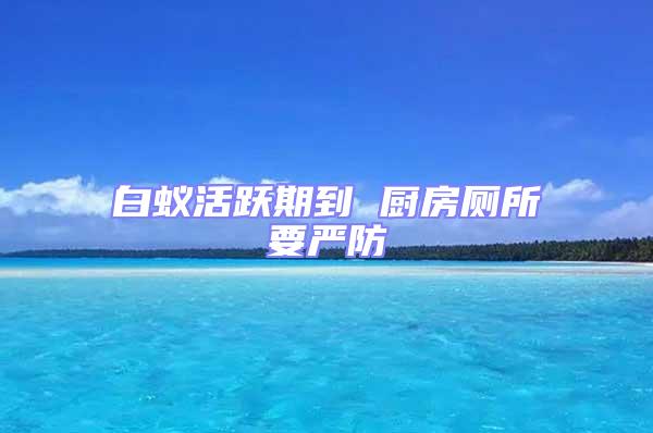白蟻活躍期到 廚房廁所要嚴防