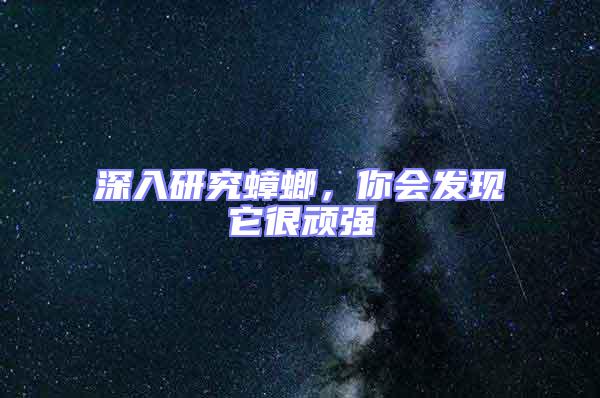 深入研究蟑螂，你會發(fā)現(xiàn)它很頑強(qiáng)