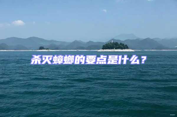 殺滅蟑螂的要點是什么？
