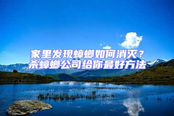 家里發現蟑螂如何消滅？殺蟑螂公司給你最好方法