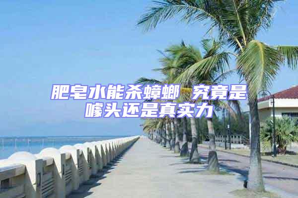 肥皂水能殺蟑螂 究竟是噱頭還是真實力