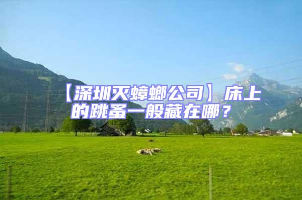 【深圳滅蟑螂公司】床上的跳蚤一般藏在哪？