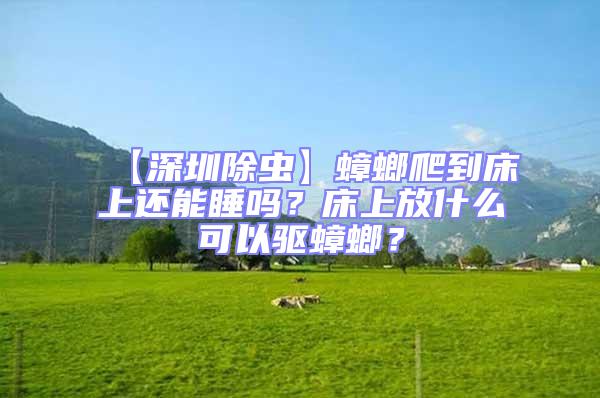 【深圳除蟲】蟑螂爬到床上還能睡嗎？床上放什么可以驅(qū)蟑螂？