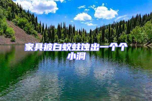 家具被白蟻蛀蝕出一個個小洞