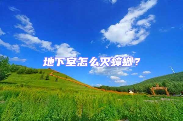 地下室怎么滅蟑螂？