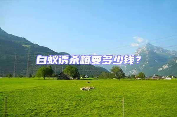 白蟻誘殺箱要多少錢？